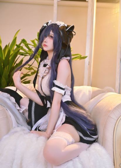 大秦赋免费观看